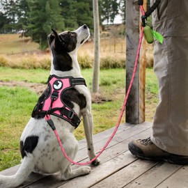 Joytale 6/5/4 FT Leashes for Large Medium Breed Dogs, Heavy Duty Nylon Braided Rope Dog Leash, Comfortable Padded Handle Strong Leashes with Poop Bags and Dispenser, Pink, 5'×1/2''
