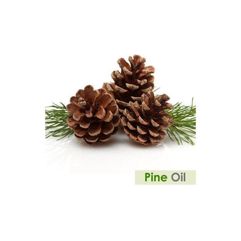 Salvia Pine (Pinus Sylvestris) Essential Oil Pure & Natural -
