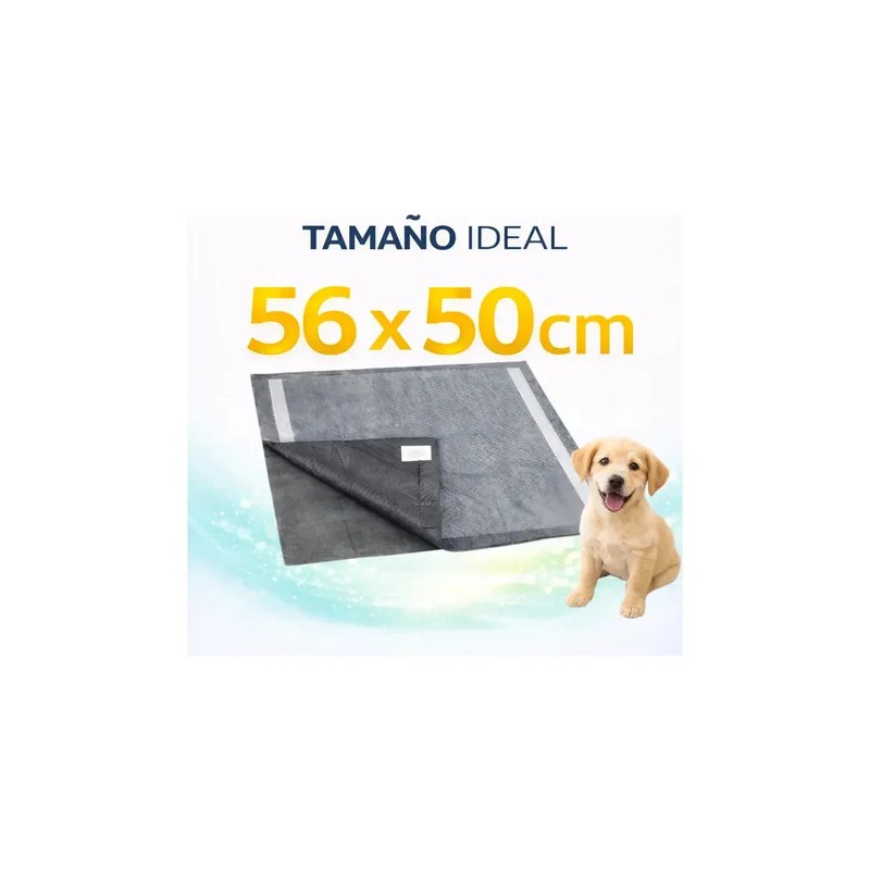 Tapete Entrenador Perro Carbon Activado Tapete Perro 14 Pz
