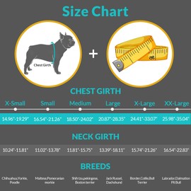 Queenmore Dog Life Jacket Lifesaver Preserver High Buoyancy with Emergency Grab Handle for Small & Medium Dogs BrightYellow, Large