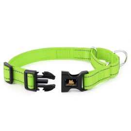 Plutus Pet Reflective Martingale Collar with Buckle - Durable and Adjustable Training Collar for No Pulling, Dog Choker Collar for Small Medium Large Dogs, Bright Green, M