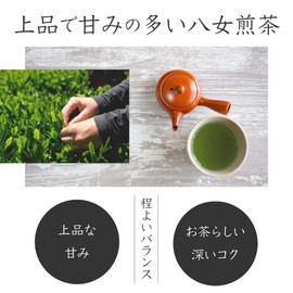 2025 New Tea YaME-CHA Sencha 3.5 oz (100 g) SS-15 Yame Cha no Sato