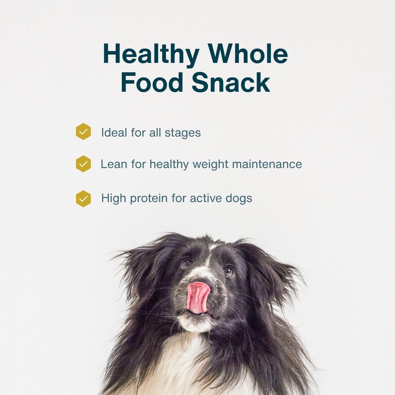 JustFoodForDogs Snack for Dogs, Single-Ingredient Chicken Healthy Dog Treats, 18