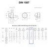 TERF® M16 Dome Cap Nuts M16 (16mm) Steel Dome Cap