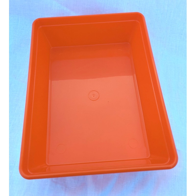 Instrument tray – 19cm x 14cm x 5.5cm. polypropylene (Orange)