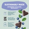 Shameless Pets Soft-Baked Dog Treats, Blueberried Treasure - Natural &