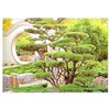 Meditations in Zen Garden (Wall Calendar 2026 DIN A3 Landscape),