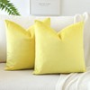 JOTOM Set of 2 Velvet Soft Solid Cushion Covers 45x45
