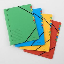 Leitz Ordnungsmappe 3907-55 7Fächer grün