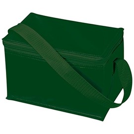 Thermal Insulated Portable Cool Canvas Stripe Lunch Picnic Totes Carry Case Bag (Small, Green)