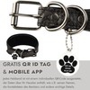 FAVPET Luxury Genuine Leather Greyhound Collar Wide with QR Code