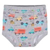 Gerber Baby Boys Infant Toddler 4 Pack Potty Training Pants