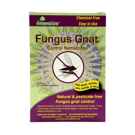 Nema Globe 4 x 5 Million Beneficial Nematodes