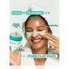 BRING GREEN Tea Tree Cica Pore Pack (Tea Tree Cica