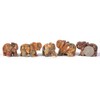 JUST IN STONES Carved Natural Crazy Lace Agate Gemstone Elephant