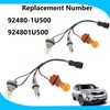 Socket & Wire Tail Light Harness Assembly for Kia Sorento