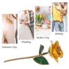 24K Gold Plated Real Rose Yellow Rose with Base Valentine's