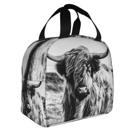 VOOHDDY - Bolsa de almuerzo con aislamiento para hombres y mujeres, reutilizable, impermeable, portátil, para trabajo, oficina, picnic, playa, viajes