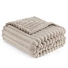 Bedsure Soft Fleece Throw Blanket - Fluffy Cosy Warm Fleece