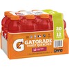 Gatorade Thirst Quencher, Fruit Punch, 20 Ounce Bottles (Pack of