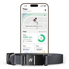 Fi Series 3+ Smart Dog Collar - GPS Dog Tracker and Activity & Fitness Monitor, Waterproof, LED Light, Escape Alerts, Nationwide Coverage [Free 6 Month Membership] (Gray, Medium)