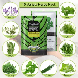 Indoor Herb Garden Kit – 10 Non-GMO Herb Seeds with Soil, Pots & Moisture Meter – Easy Windowsill Gardening Starter Set – Unique Gift for Gardeners, Home Chefs & Families