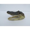 Atlantic Coral Enterprise Real Alligator head from a 4 foot