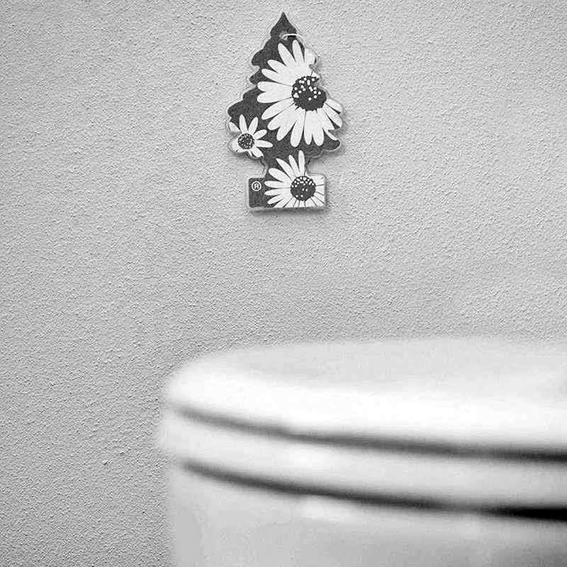 Little Trees 吊下げ式 芳香剤 エアーフレッシュナー レザー U1P-10290