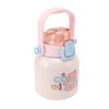 Insulated Water Bottle 680ml Capacity Stainless Steel Tea Flask for