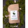 myvial® Organic Chlorella Tablets High Dose Pack of 240 Vegan