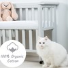 Crib Fitted Sheets 51x85 cm White Chicco nexttome Crib Sheets