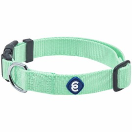 Blueberry Pet Essentials Matching Medium Dog Collar | Adjustable Classic Solid Color Nylon Dog Collars for Medium Dogs | Pastel Green Dog Collar for Medium Dogs