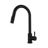 QFZFQOLSS Black Kitchen Faucet Two Function Single Handle Pull Out