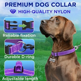 TECEUM Reflective Dog Collar – Purple – S – Basic Nylon Pet Collar – Quick Release Buckle – Fits Small, Medium and Large Dogs, Puppies, Cats – ESA & Service Dog Options