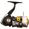 Daiwa 17 World Spin 3000 Spinning Reel (with Thread), 2017