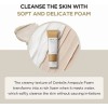 Skin1004 Madagascar Centella Limpiador De Espuma 125 Ml Momento De