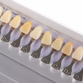 Hassta Guía De Color (colorimetro Vita Vitapan) Classic Scii