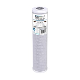 Baleen Filters 10" x 2.5" 0.5 Micron Coconut Shell Performance Carbon Filter Cartridge Replacement for HDX SMCB-2510, Watts MAXVOC-975, Pentek CBC-10