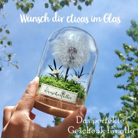 inyeskon Wunscherfüller mit LED Licht, Echte Pusteblume im Glass, Ewig Geburtstagsgeschenk für Frauen Freundin Mädchen Geschenke für Geburtstag Hochzeit Jugendweihe Weihnachten Valentinstag