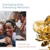 Fantasy Rose 24K Gold Dipped Rose, Unique & Everlasting Real