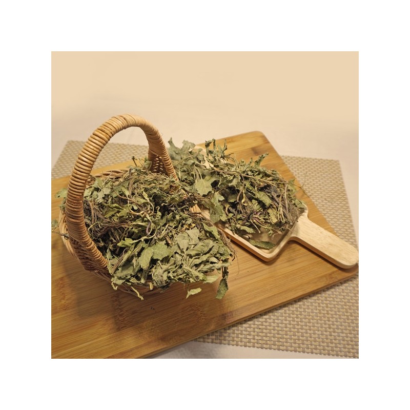 300g of chamduri morel cabbage (domestic) / 참두리 곰보배추 300g