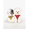 Olchi [올치] 빛 반사 콤비 하네스 Q 3종(택1) [Olchi] Light Reflective Combo Harness Q 3 Types (Choose 1)