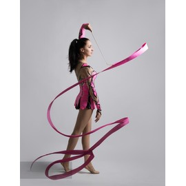 4PCS Ribbon Dancer Wand，Gymnastics Ribbon Wand，Dance Ribbons ，Rhythmic Gymnastics Ribbon，Dancing Ribbons ，Ribbons for Dancing，Dance Streamers (Purple)