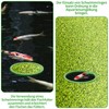 5 Pieces Fish Tank Feeder Ring, 5 Sizes Floating Feeder