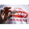 Berkley Pulse Realistic Flash Soft Bait Lure | Paddle Tail