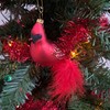 Cobane Studio LLC COBANEC304 Cardinal with Feather Tail Ornament