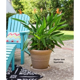The HC Companies 23 Inch Terrazzo Round Premium Plant Saucer – Indoor Outdoor Plastic Plant Trays for Pots - 23.38"x23.38"x2.07" Sandstone