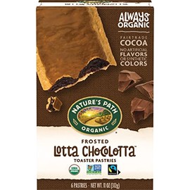 Nature's Path Organic Toaster Pastries, Frosted Lotta Chocolotta, 72 Count (Pack of 12, 11 Oz Boxes)