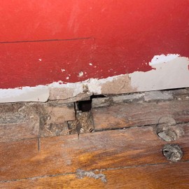 Kraken Bond Pest Block Spray Foam - (2x12 oz.) Expanding Foam Rodent Proof, Foam Sealant for Gaps & Cracks with Mothball Odor, Rodent Blocker, Paintable Foam Filler for Wall Holes - 2 Pack