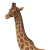 Ebros Gift Safari Savannah Masai Giraffe Standing Figurine 12" Tall